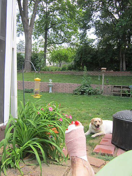 IMG_0811 smaller