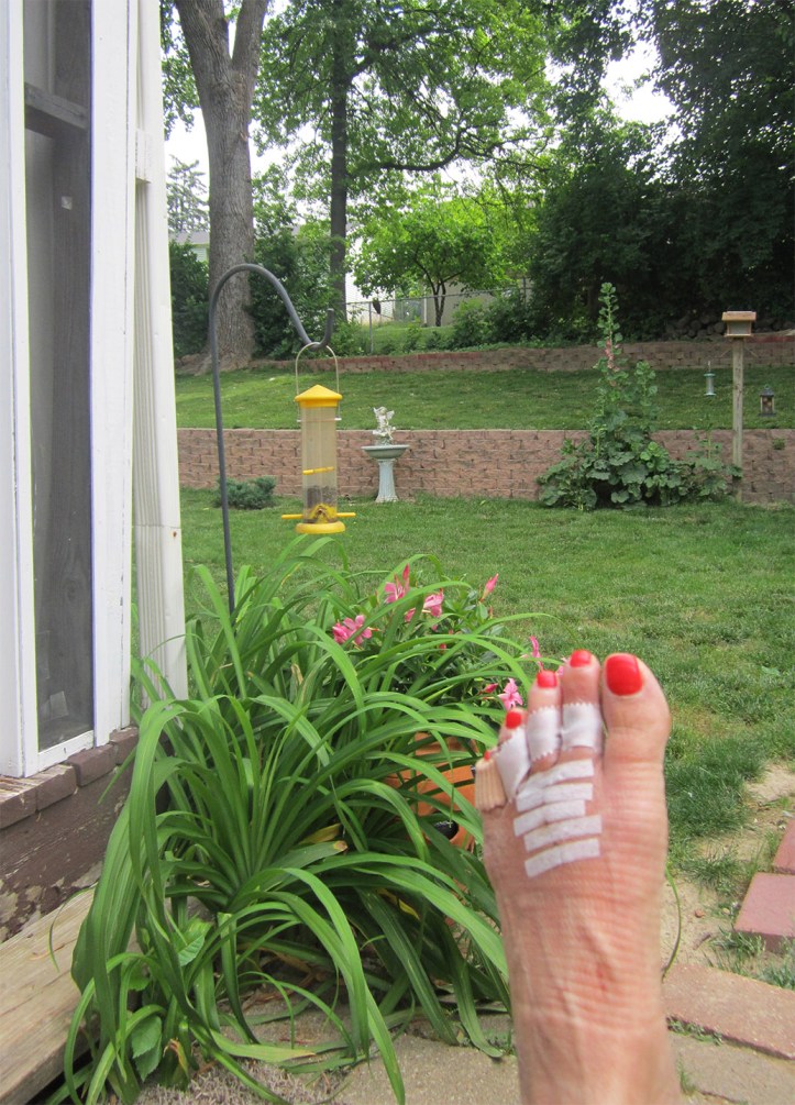 IMG_0820 cropped smaller