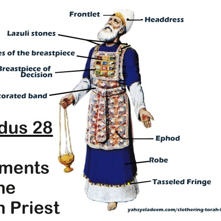 High Priest Garments by Verse