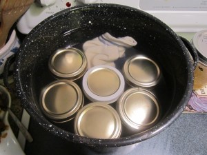 Canning jars in the hot water bath