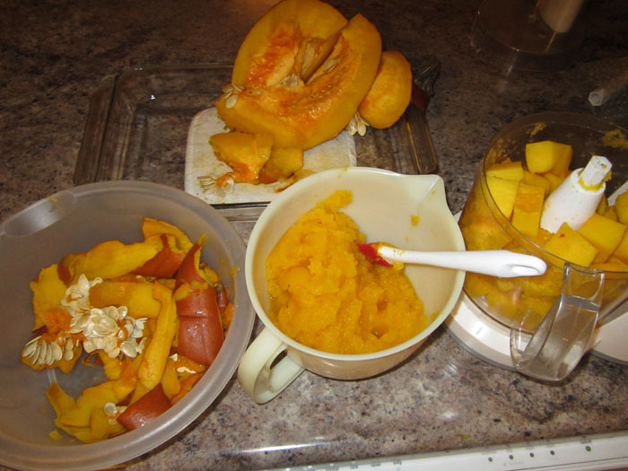 Steps in Pureeing the pumpkin