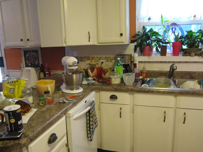 Kitchen Mess