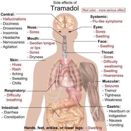 Tramadol side Effects