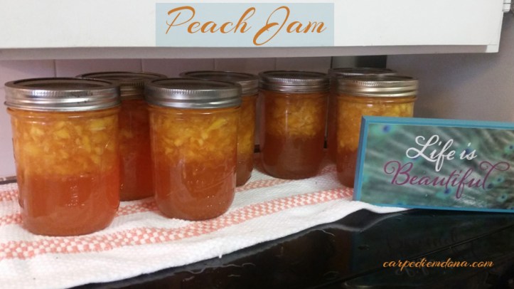 peach jam carpediemdona