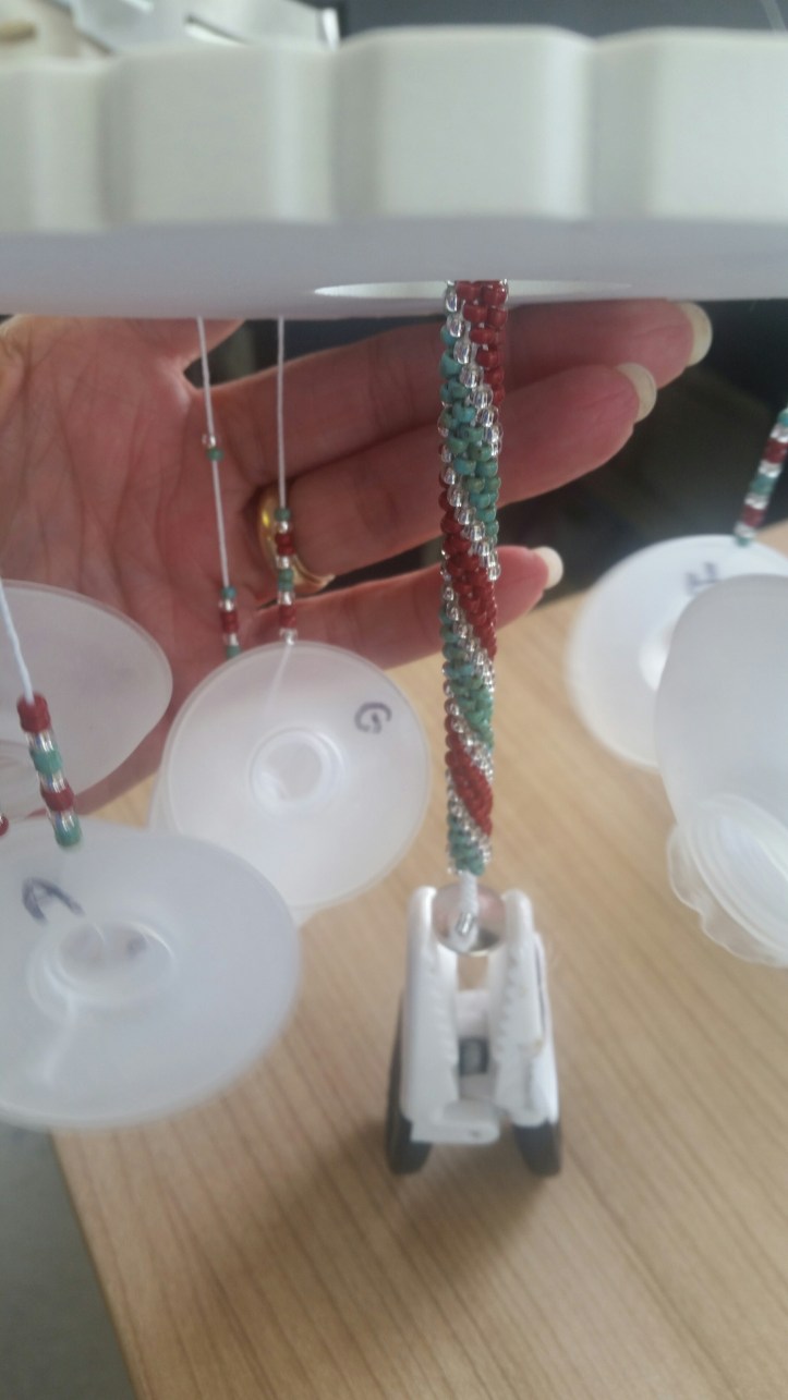 20180608_120300_resized