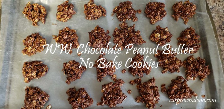 ww choc peanut bttr no bake