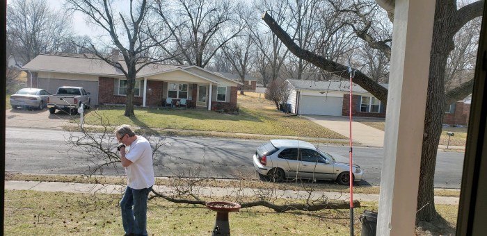 Man using manual branch saw to cut tree limb
