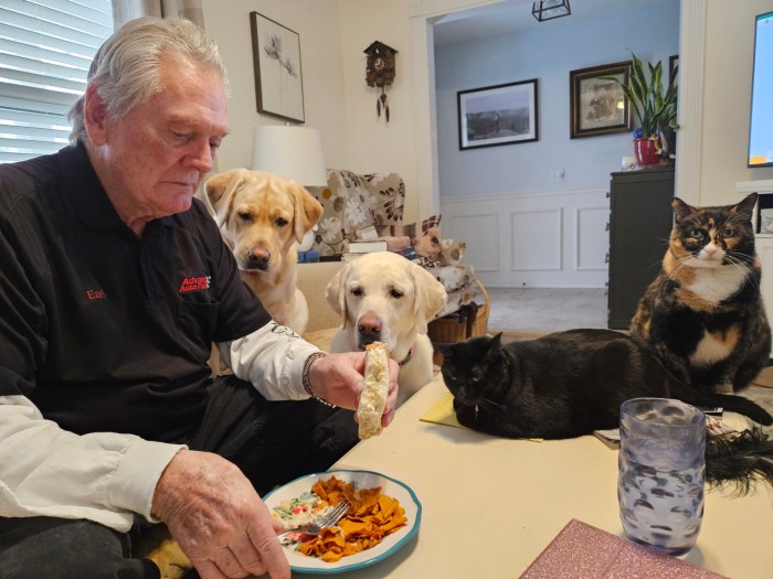 Man eating sandwich with dogs and cats watching him